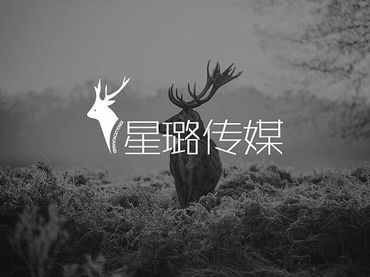 【南都艺设】星璐传媒logo提案丨字体设计丨logo创意