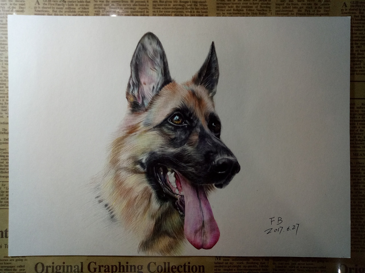 彩色圆珠笔画-动物篇