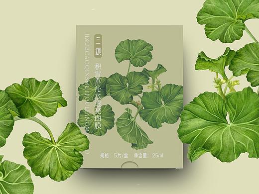植物面膜包装