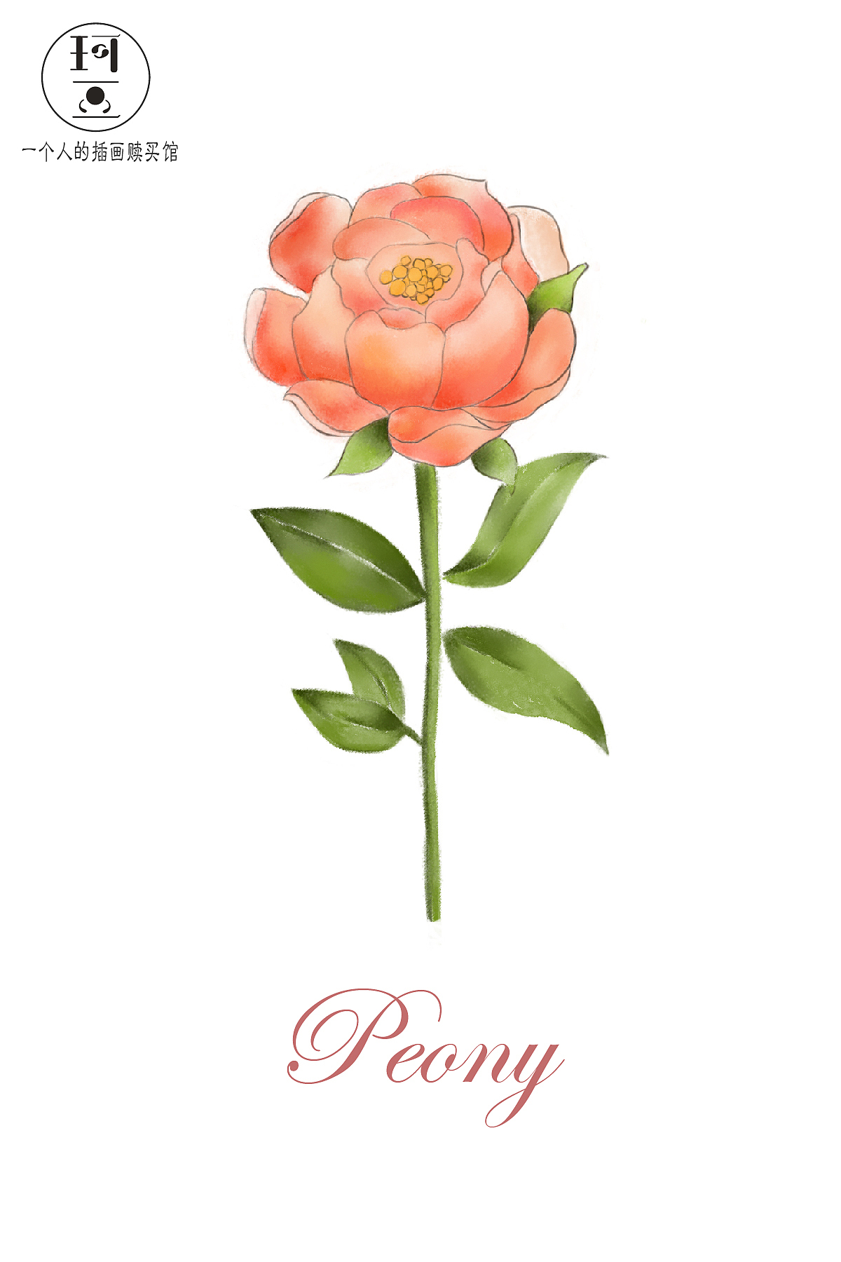 花儿插画（图ZMTEzMDQwNDg4） - 商业插画 - 站酷设计师小蝌蚪Emily原创素材 - 站酷ZCOOL