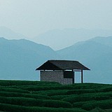 地方的方式的头像