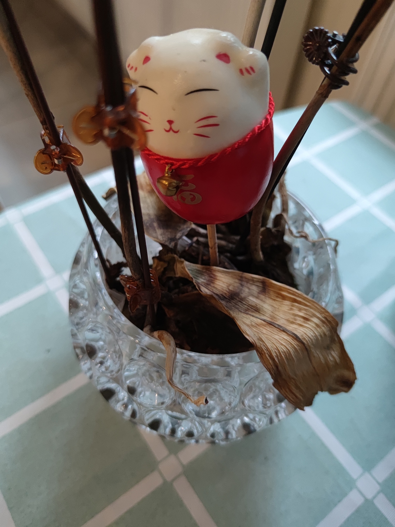 已叫不出名的2号