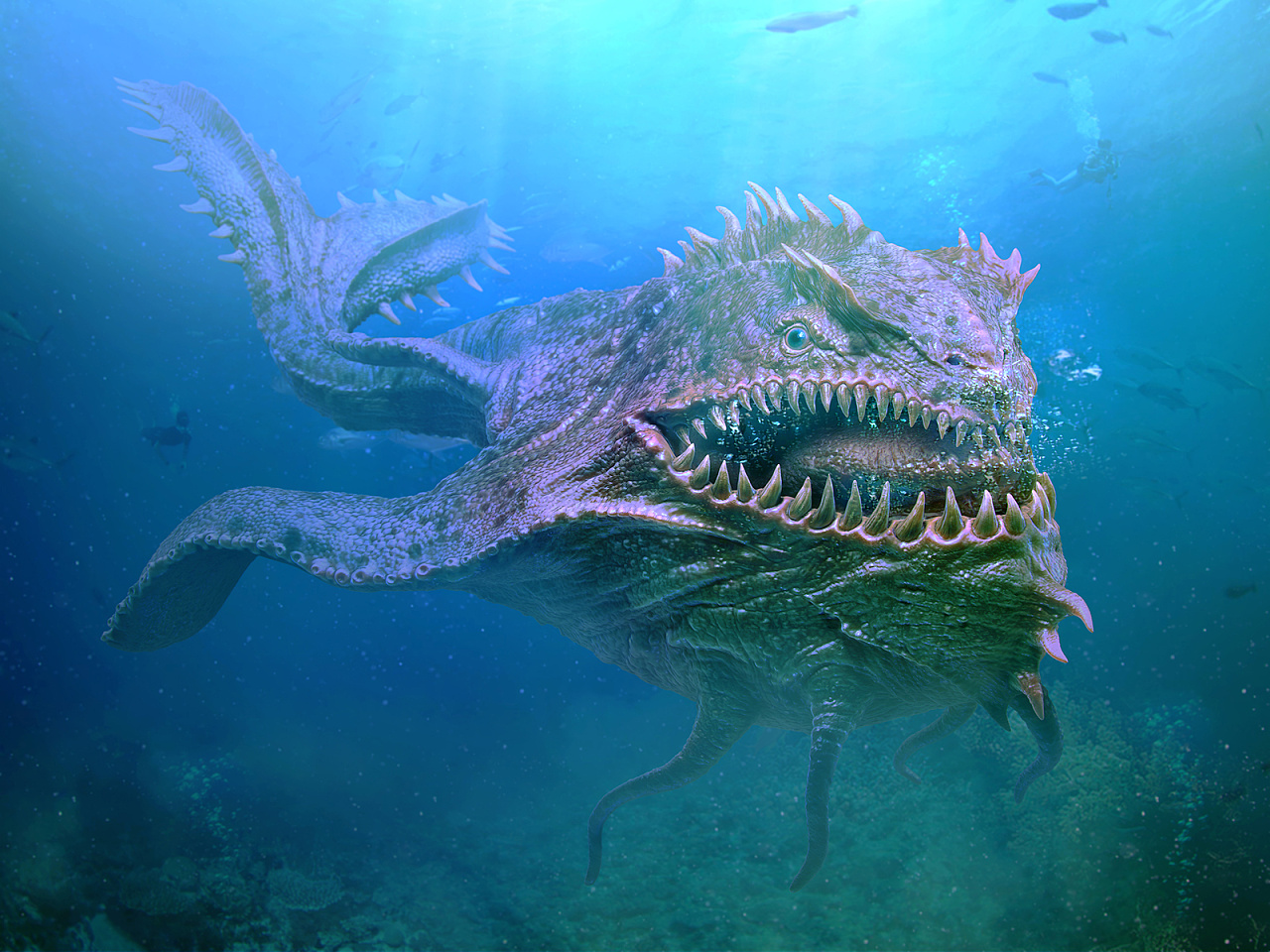 海洋怪物-动物摄影壁纸预览 | 10wallpaper.com