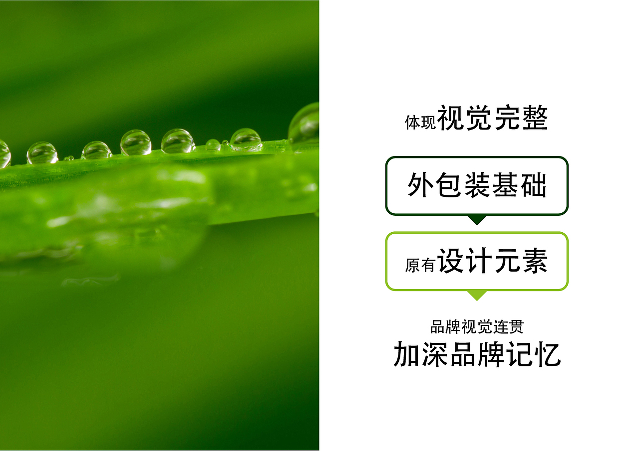 胰之乐包装设计（图ZMjMzOTI2Njgw） - 包装 - 站酷设计师虎皮青蛙原创素材 - 站酷ZCOOL