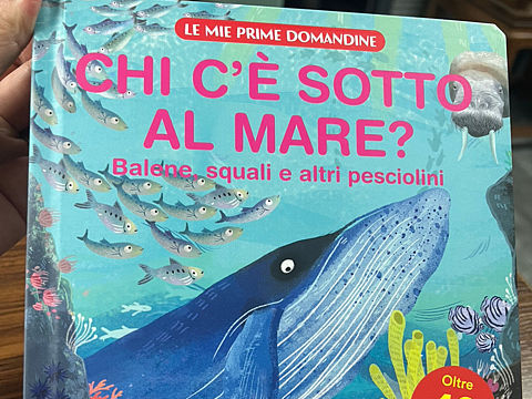 呦呦童国际版权输出之：意大利文