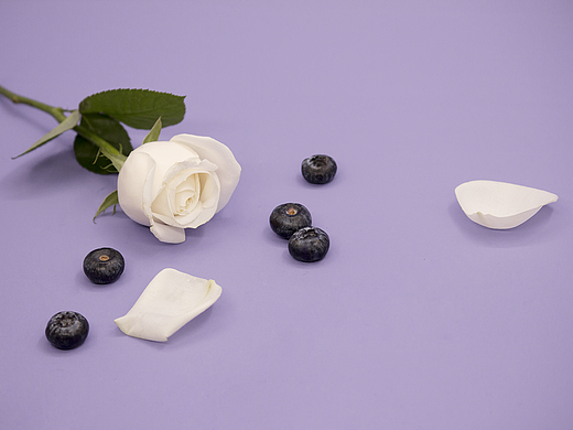 红玫瑰&白玫瑰&乡村紫