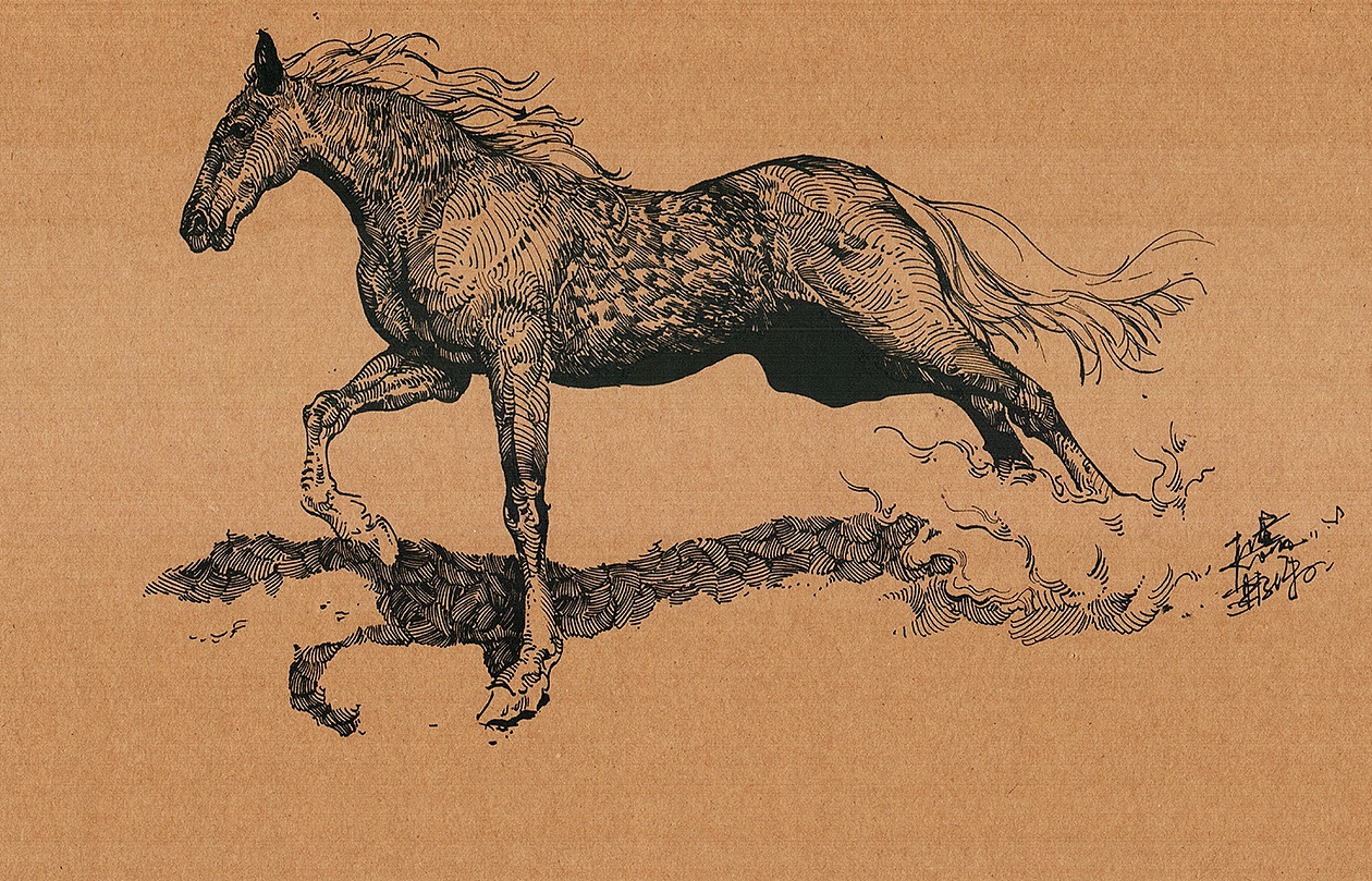 喜欢马，体型和自然世界的完美配搭，能寄托和想想任何一种美好的一往无前，自由不羁