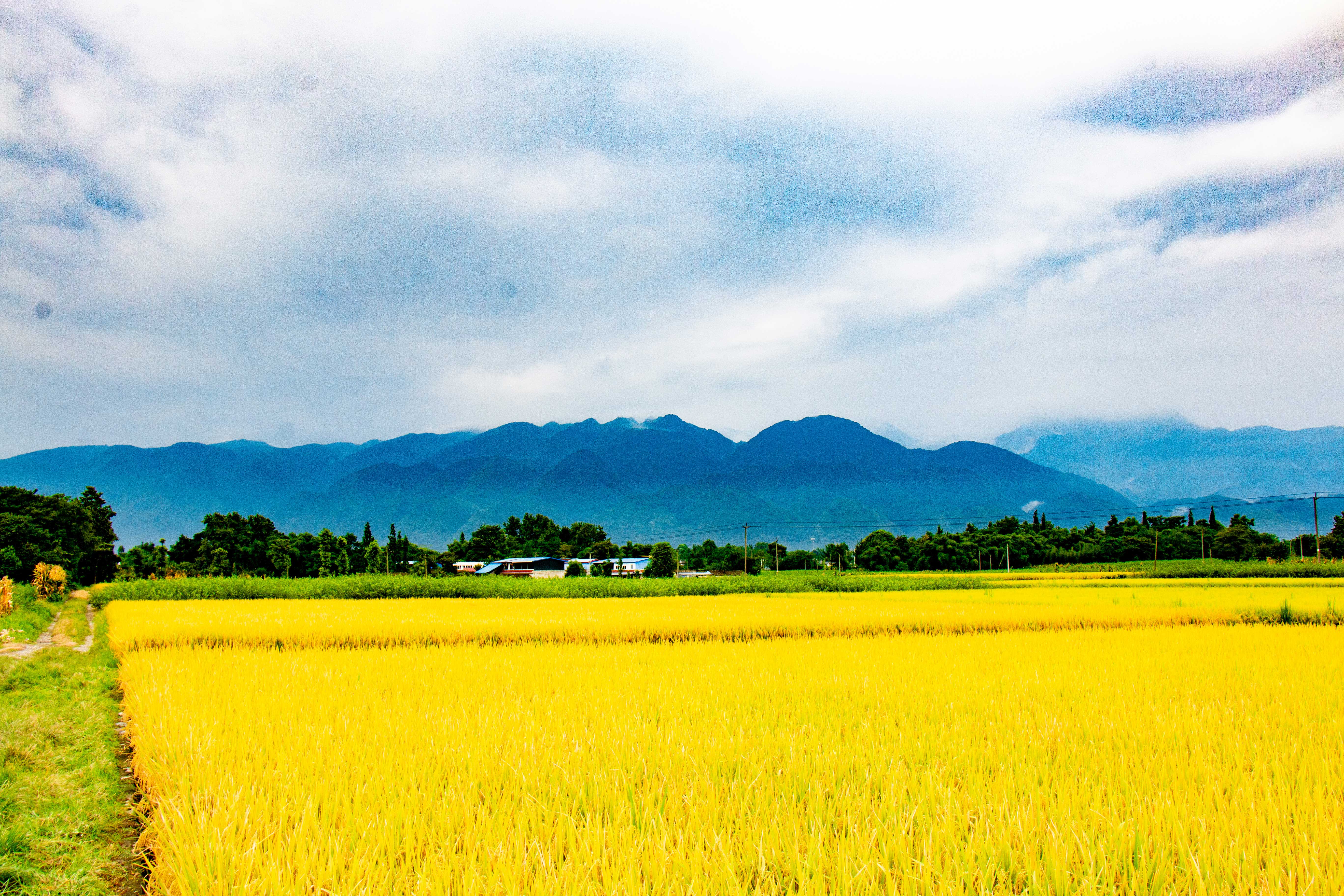 土豆坨坨儿的个人主页（封面预览） - 主页封面设置 - 站酷设计师土豆坨坨儿原创素材 - 站酷ZCOOL