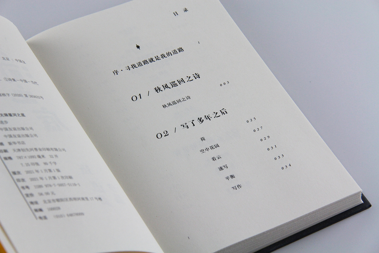 《坐在无限星河之底》诗集-装帧设计