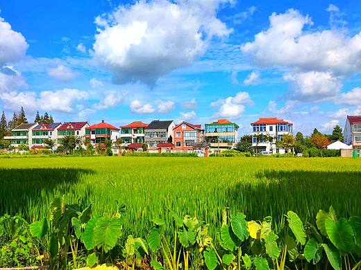 夏日乡村时光（个人主页-ZNTk5OTU5MjQ=） - 风光摄影 - 站酷设计师木子山水寿原创素材 - 站酷ZCOOL