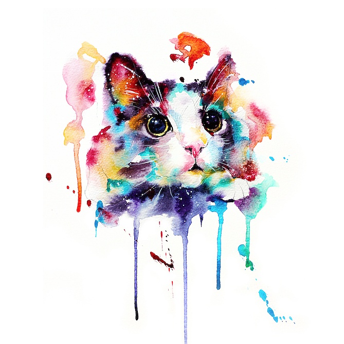 水彩下的猫青年|插画|商业插画|lvireland_原创作品-站酷(zcool)