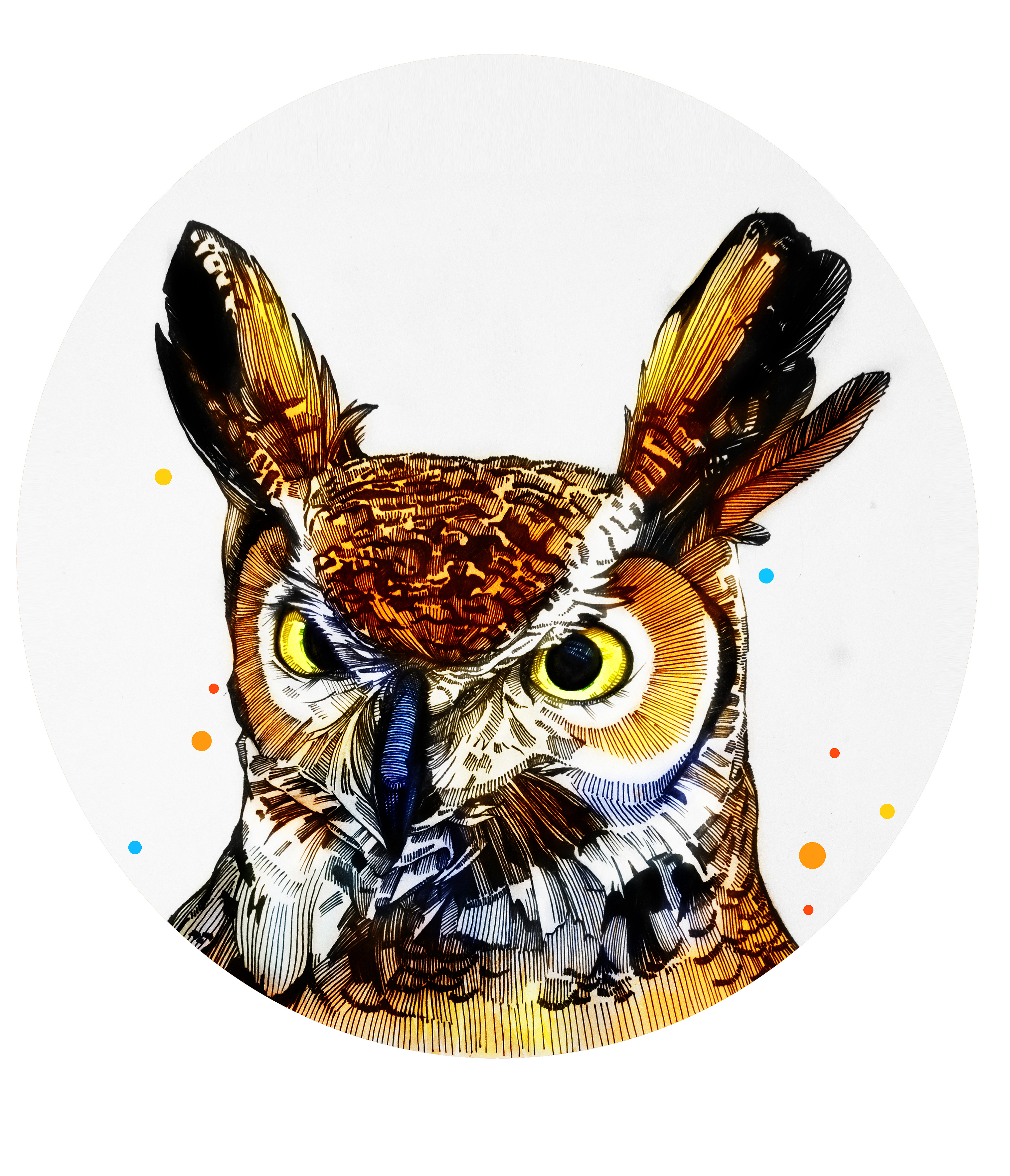 猫头鹰|插画|其他插画|ven一皿 - 原创作品 - 站酷 (zcool)