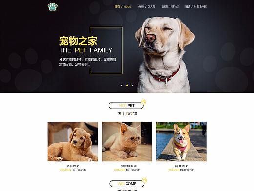宠物之家