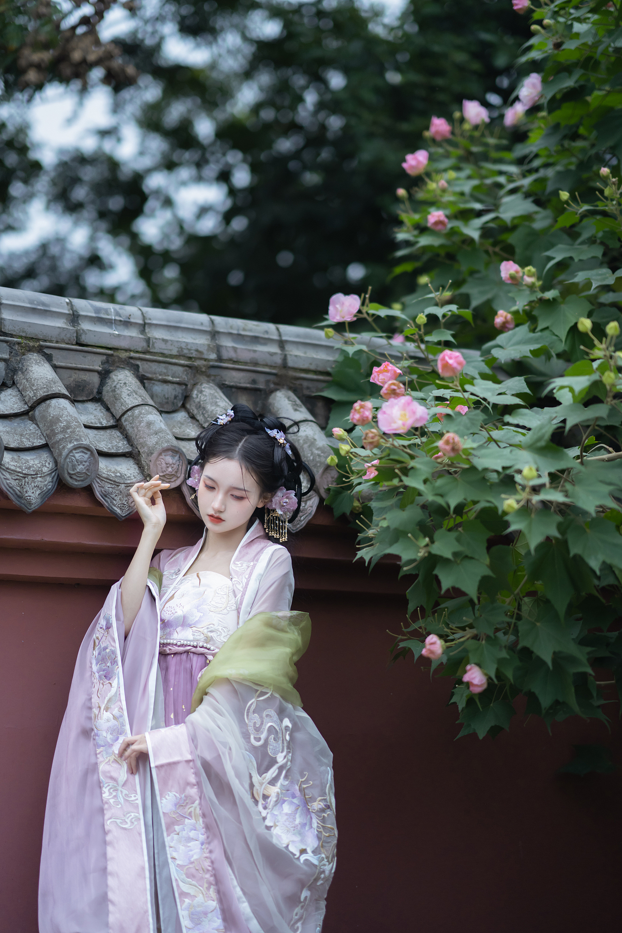 【一渠芙蓉】