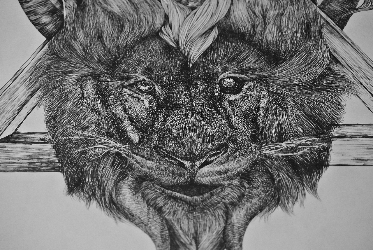 黑白绘- 双子座的臆想（图ZNDA4NzkwOTY=） - 商业插画 - 站酷设计师鸦鸦永远原创素材 - 站酷ZCOOL
