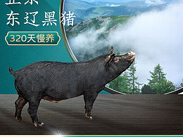 猪肉