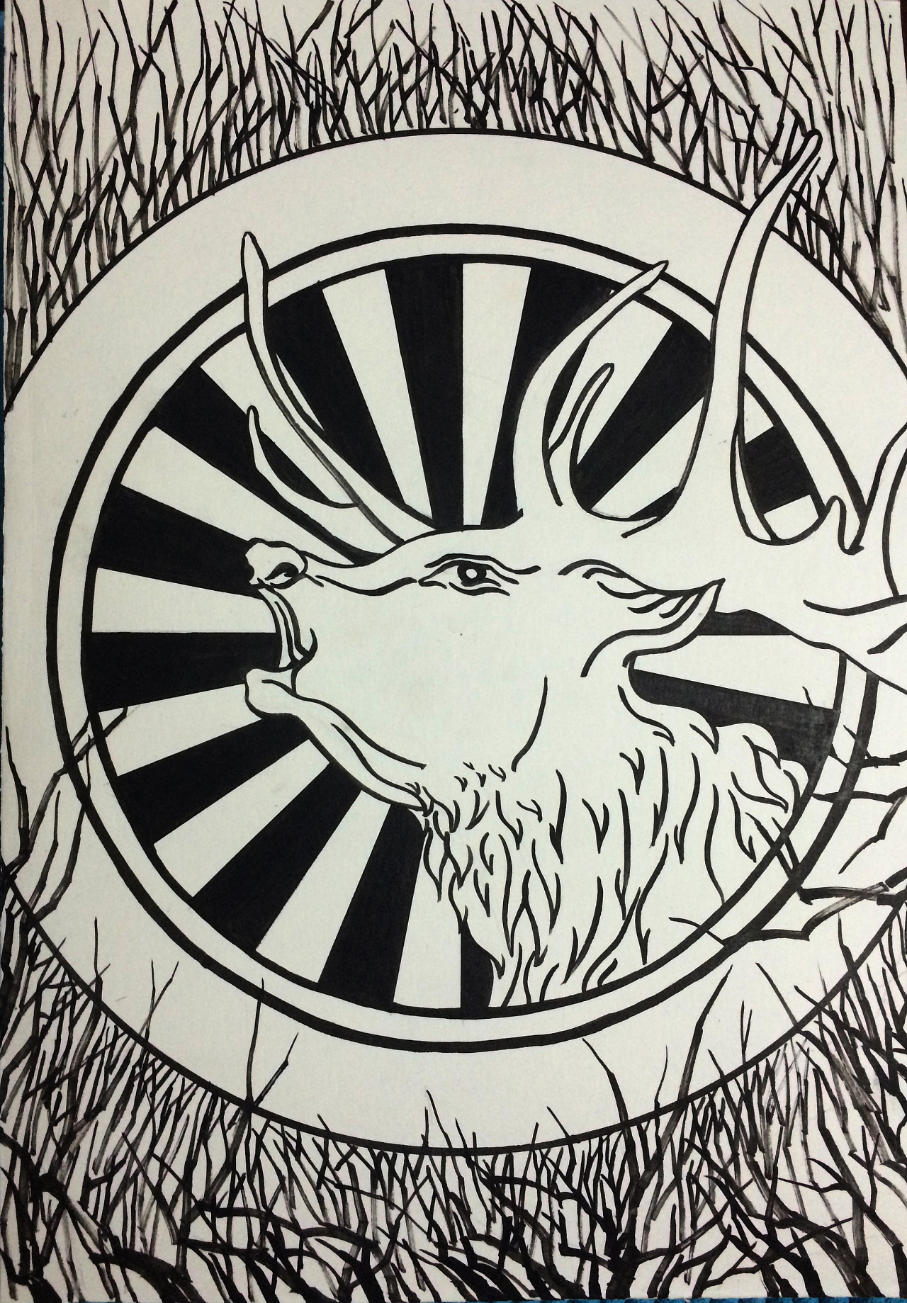 动物插画版画初稿