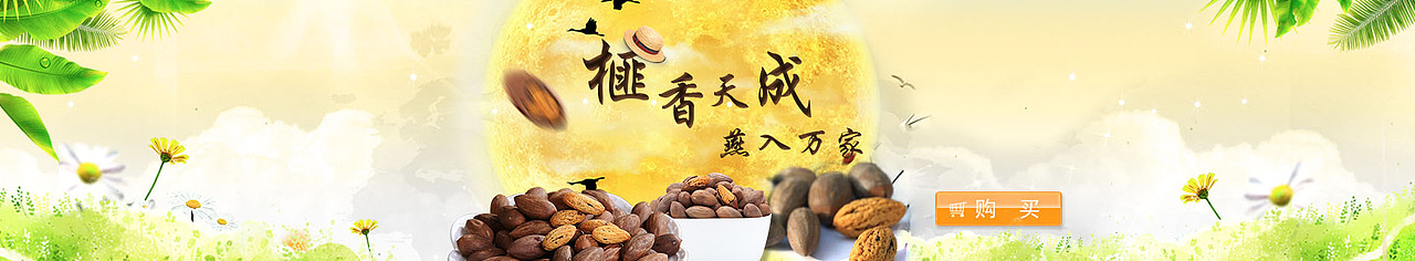 活动香榧banner