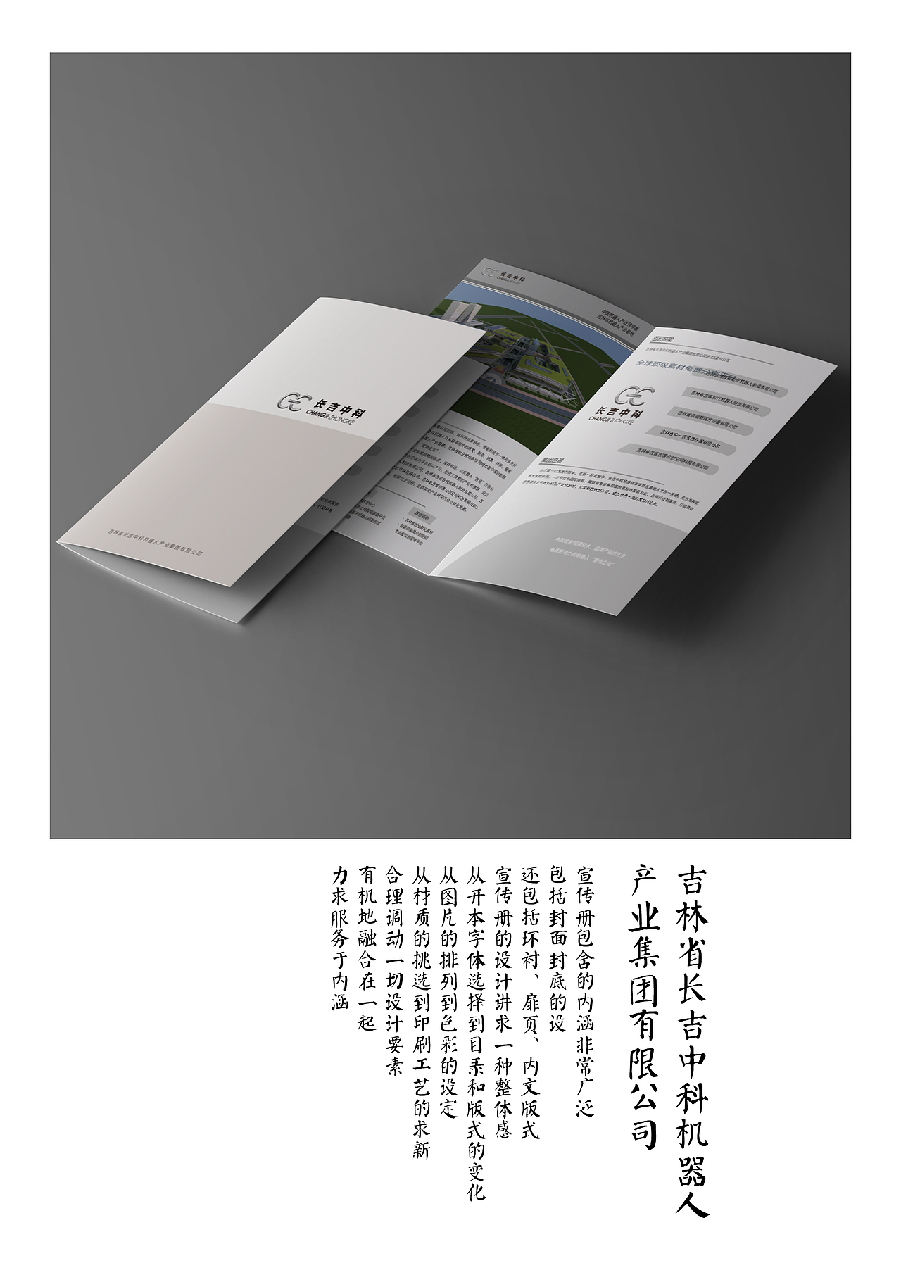 平面类-企业宣传单品设计