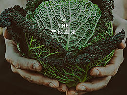 网页