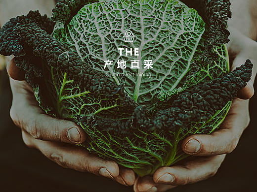 普通网页首页