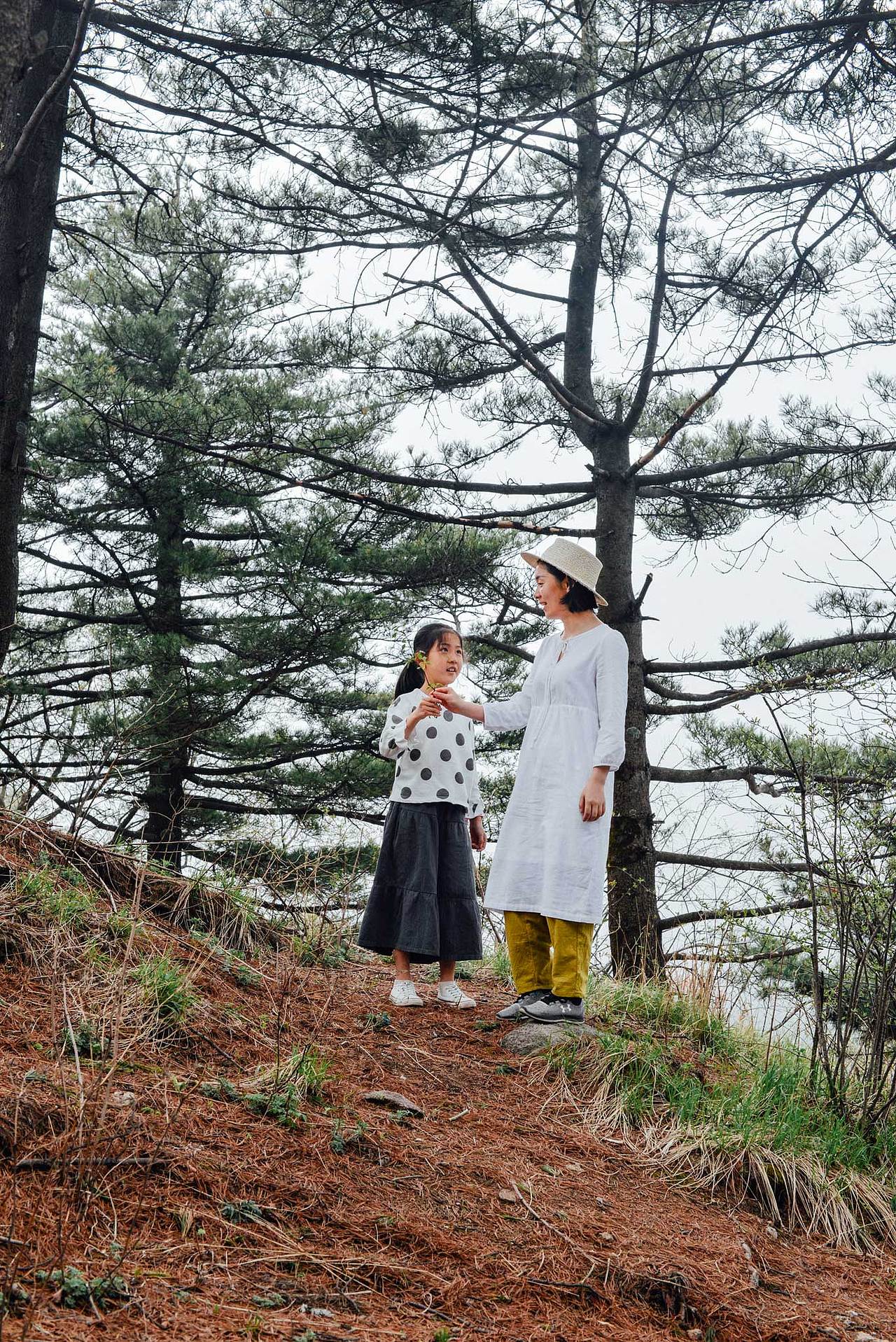 【摄影】尧山行之云雾仙姑篇