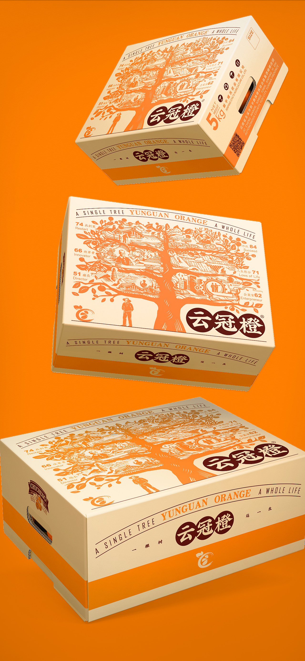 褚橙×潘虎 | 褚老的新树果子——"云冠橙"鲜活上市 - 原创作品