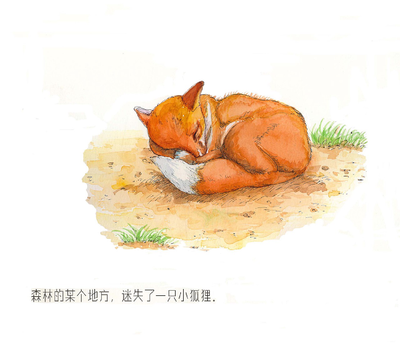森林里的小狐狸|插画|儿童插画|红蚁插画 - 原创作品 - 站酷 (ZCOOL)