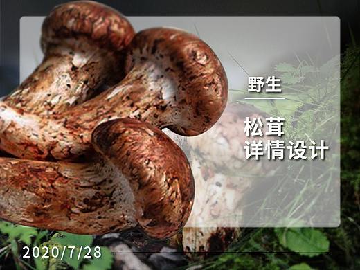 松茸详情页