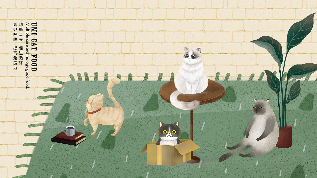 《UMI》猫粮品牌设计,于好品质中碰撞美感和温度。