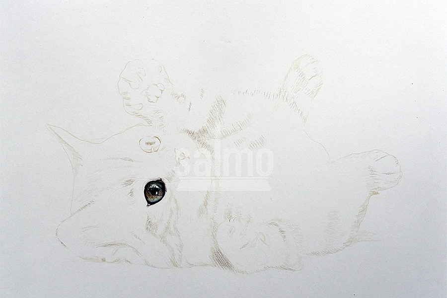 喵~（图ZNjMyNjU4Njg=） - 绘画 - 站酷设计师xuanye1836原创素材 - 站酷ZCOOL