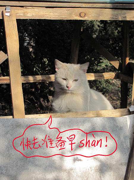 我结交了一群新朋友（图ZMjc2MjE0MTI=） - 文案/策划 - 站酷设计师画师x如也原创素材 - 站酷ZCOOL