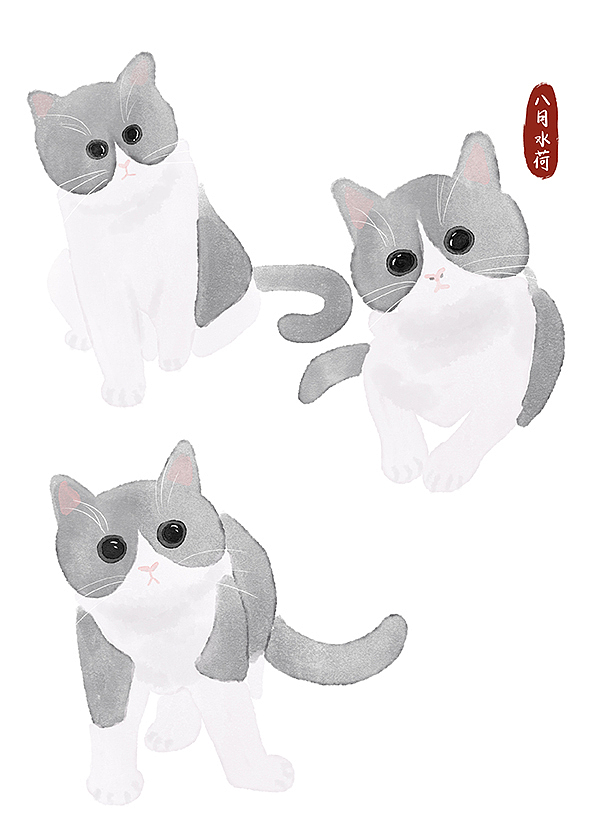 24只可爱到想咬一口的蓝白猫|插画|创作习作|八月水荷_原创作品-站酷
