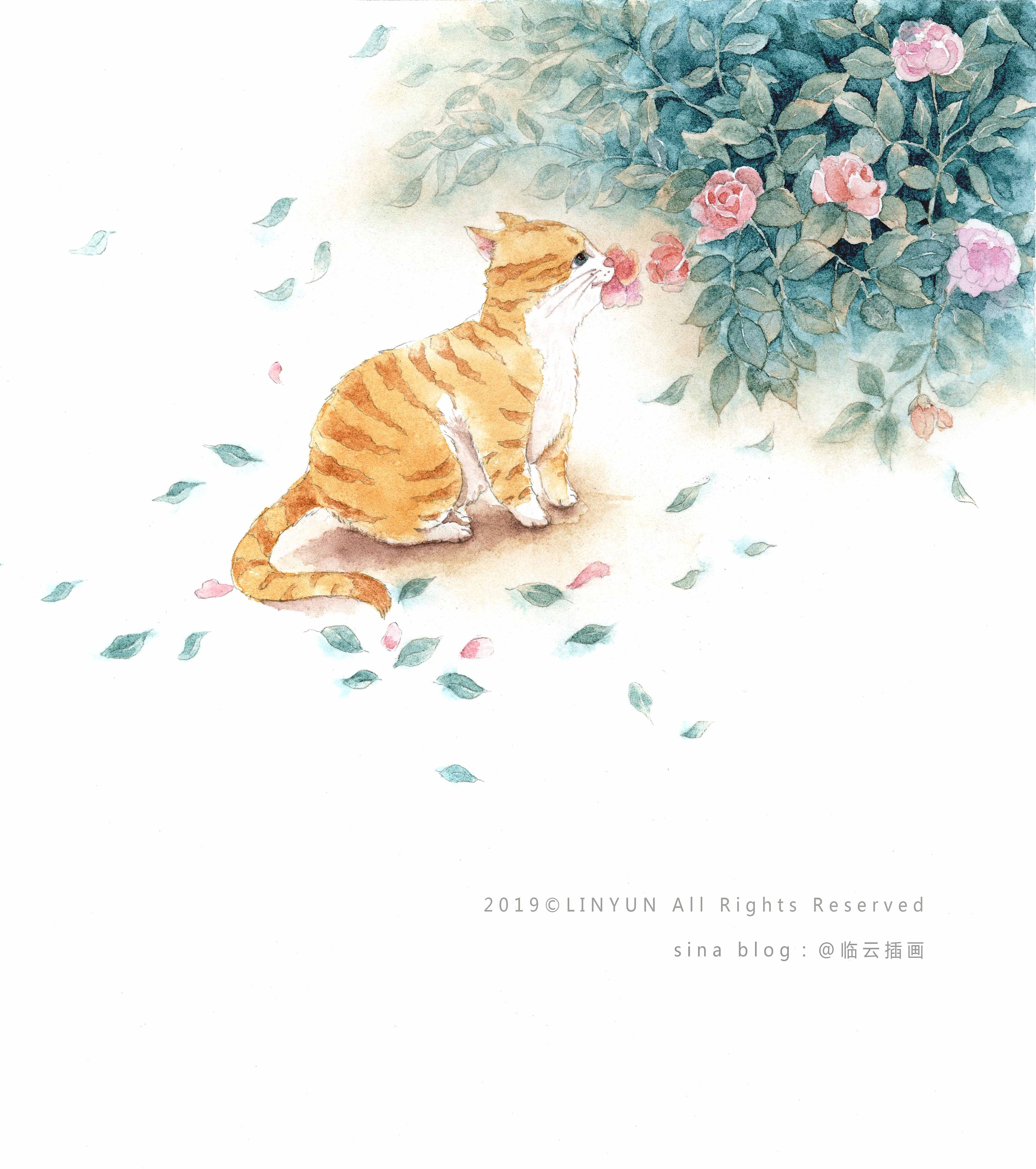 文学插画 封面插画 绘本|插画|绘本|临云插画 - 原创作品 - 站酷