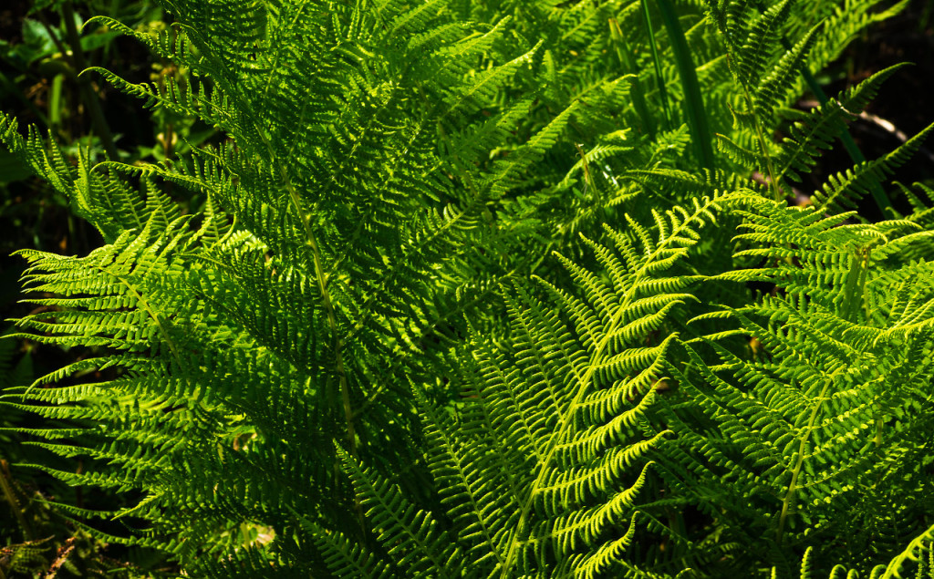 孙喜安的个人主页（封面预览） - 主页封面设置 - 站酷设计师孙喜安原创素材 - 站酷ZCOOL