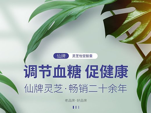 胶囊和灵芝茶详情页