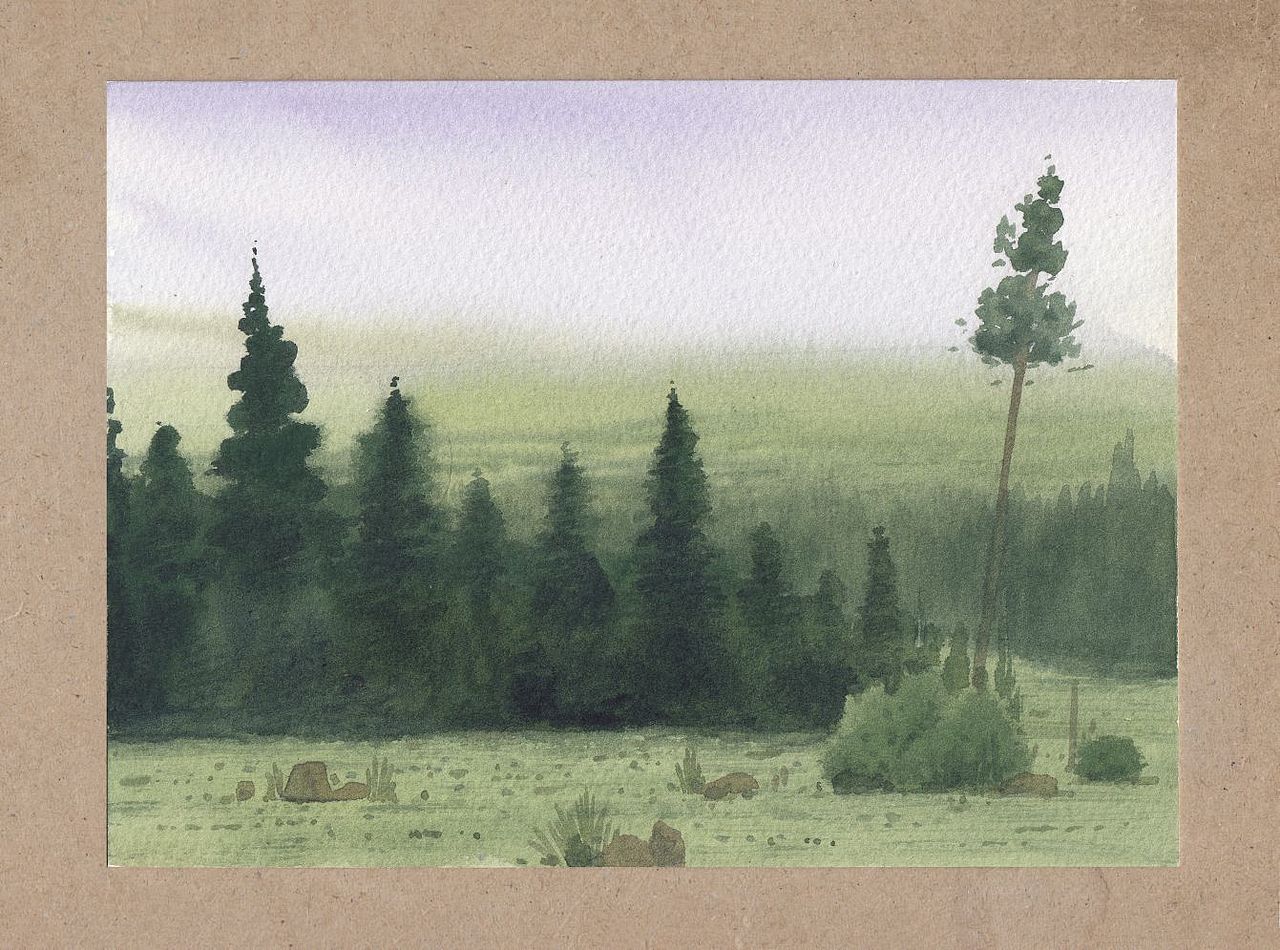 『画本系列』-我的第45本画本-绿色狂想曲主题习作（图ZMzUyNDk3MTY0） - 绘画 - 站酷设计师画画的陈一丘原创素材 - 站酷ZCOOL