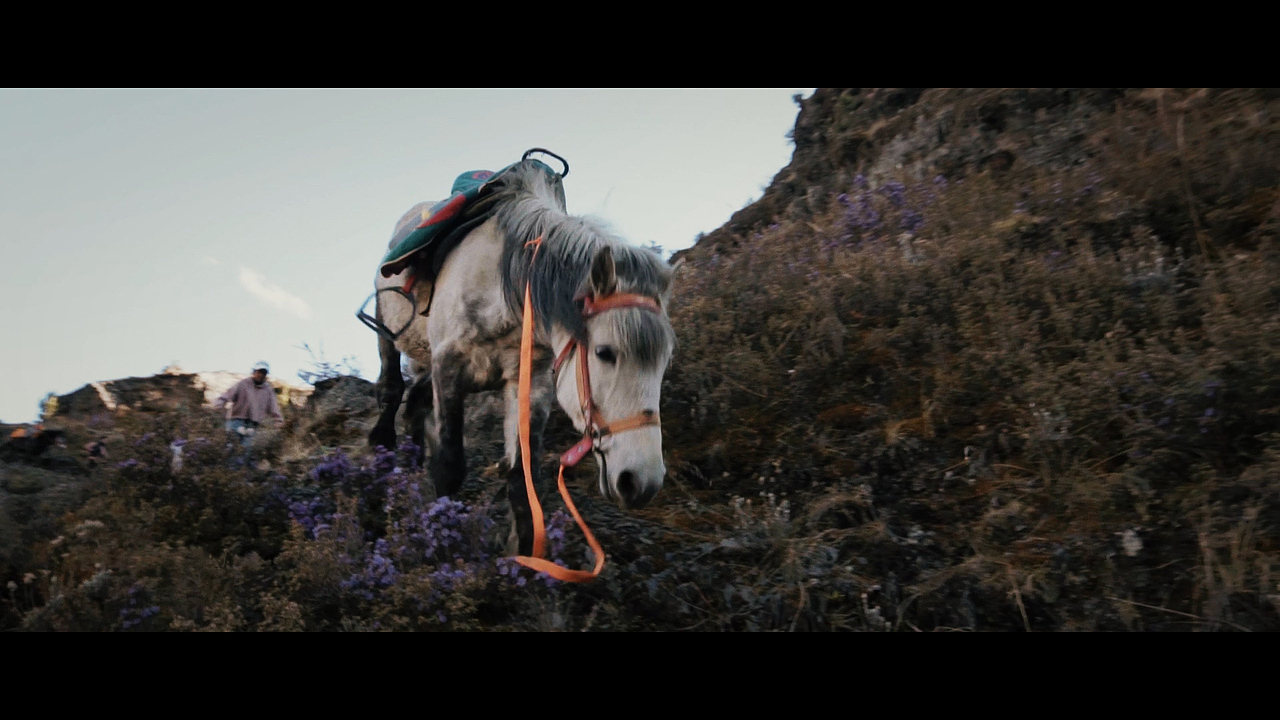 旅行纪录短片 | 《川越》