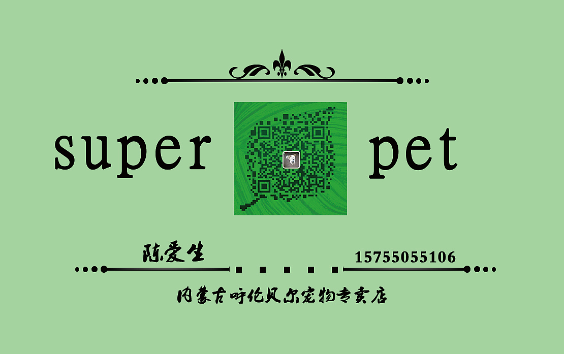 logo;名片;字体设计