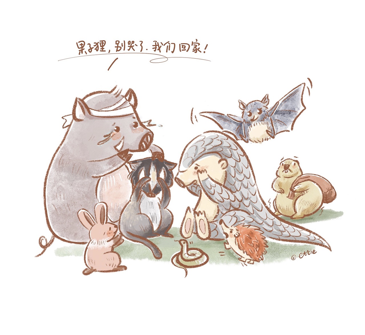 万物有灵,拒绝野味——"果子狸我们回家"|插画|创作习作|ettie023