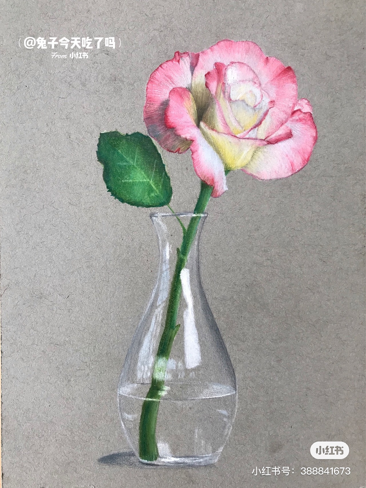 彩铅画月季 超写实立体画