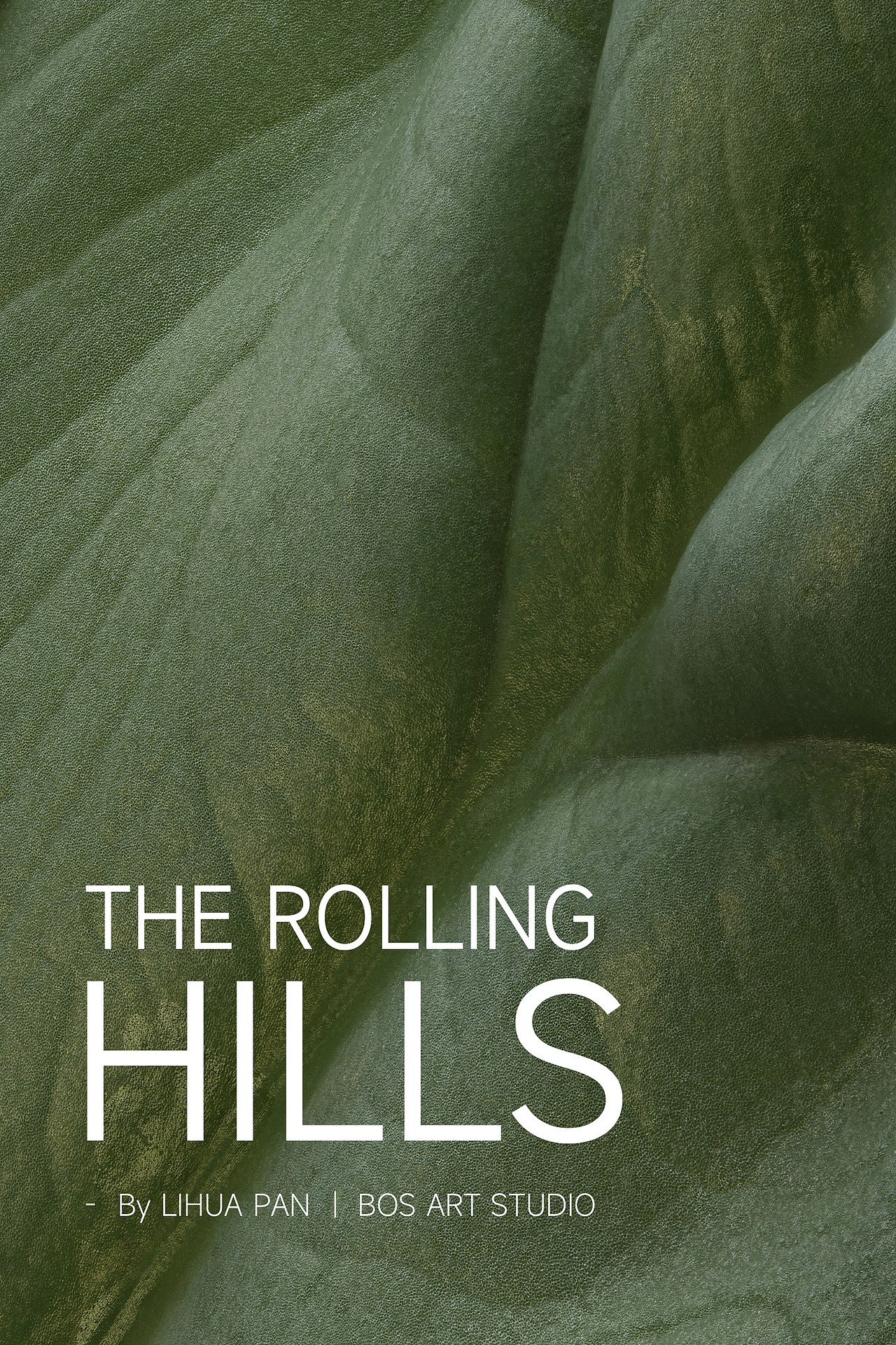 植物系列｜起伏的山丘