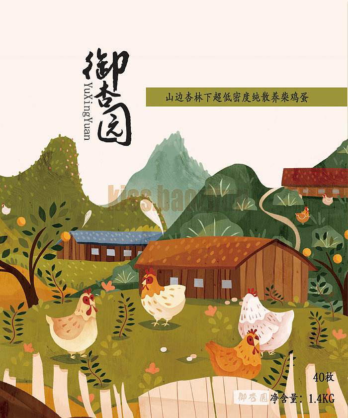 鸡蛋包装插画（图ZMjY0MDY5Mjg=） - 商业插画 - 站酷设计师孢子菌原创素材 - 站酷ZCOOL