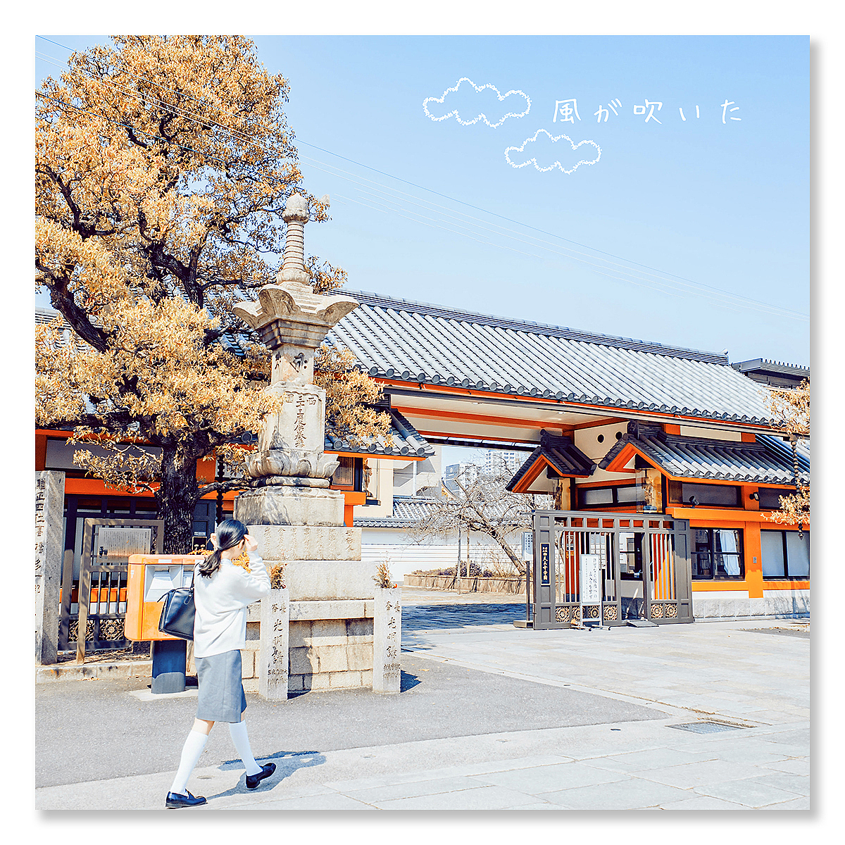 给你寄张明信片可好