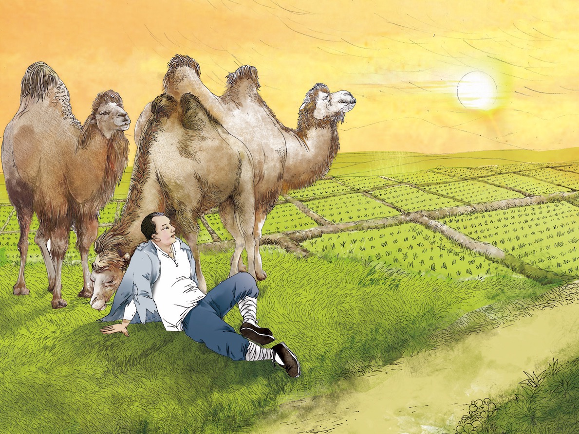 骆驼祥子绘画素材图片
