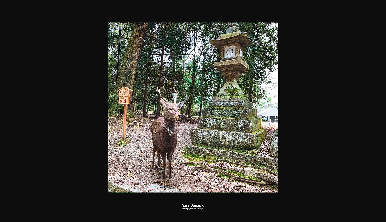 Osaka/Japan 游记（图ZMjAxOTY2NjQ4） - 人文/纪实摄影 - 站酷设计师GENIZA原创素材 - 站酷ZCOOL