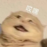 景惠的头像