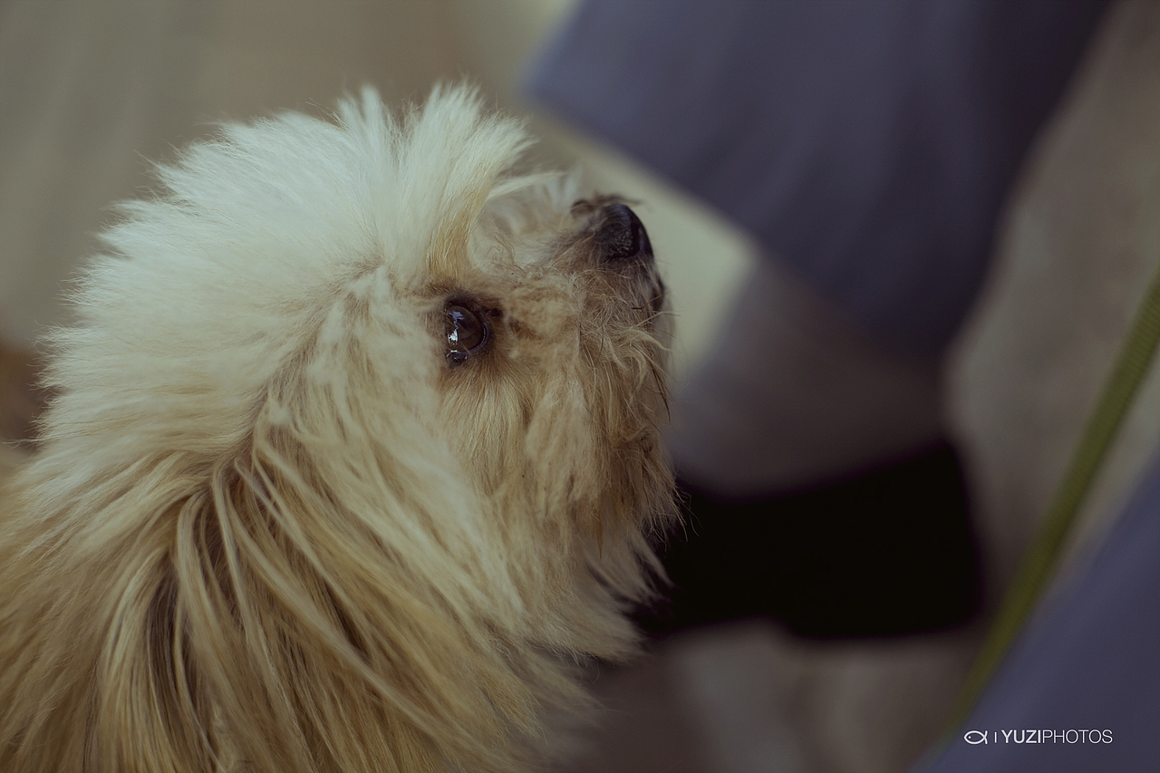 我们的十年（图ZNjk2NTk1Ng==） - 人文/纪实摄影 - 站酷设计师疯狂的鱼子原创素材 - 站酷ZCOOL