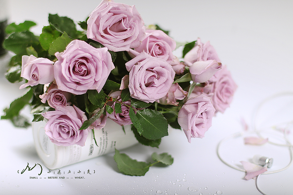 Flower-紫精灵（图ZOTc2MjE0NzI=） - 产品摄影 - 站酷设计师小米与小麦原创素材 - 站酷ZCOOL