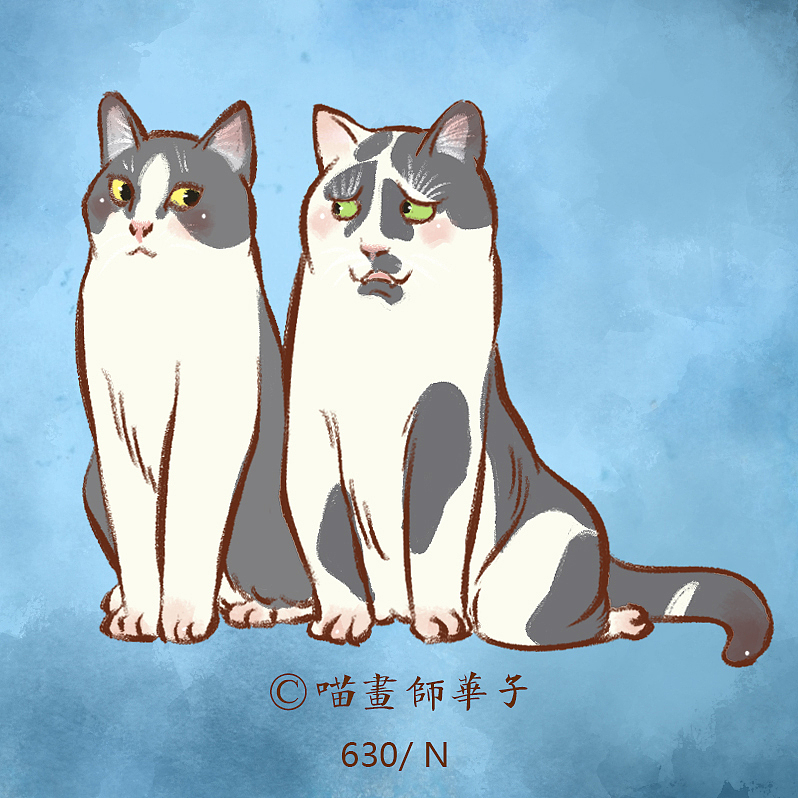 不断更日常画猫的275天（图ZMTk3ODk1NDM2） - 艺术插画 - 站酷设计师喵画师华子原创素材 - 站酷ZCOOL
